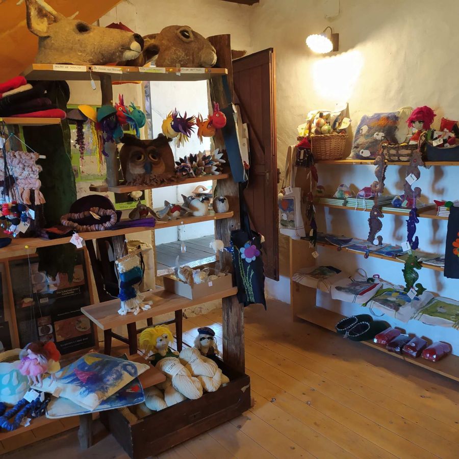 viber image 2023 08 21 13 36 44 359