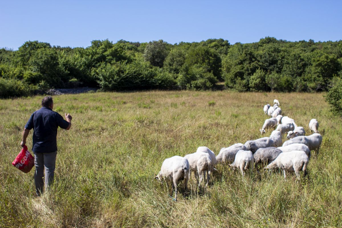 Raspisan natječaj za sufinanciranje žičanih ograda za Malinsku-Dubašnicu