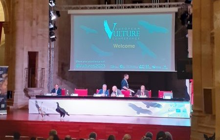 Sudjelovali smo na međunarodnoj konferenciji European Vulture Conference
