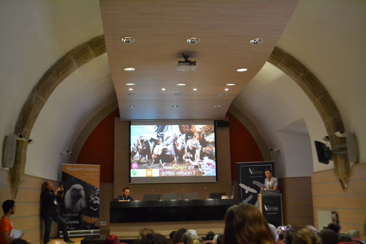  Sudjelovali smo na međunarodnoj konferenciji European Vulture Conference