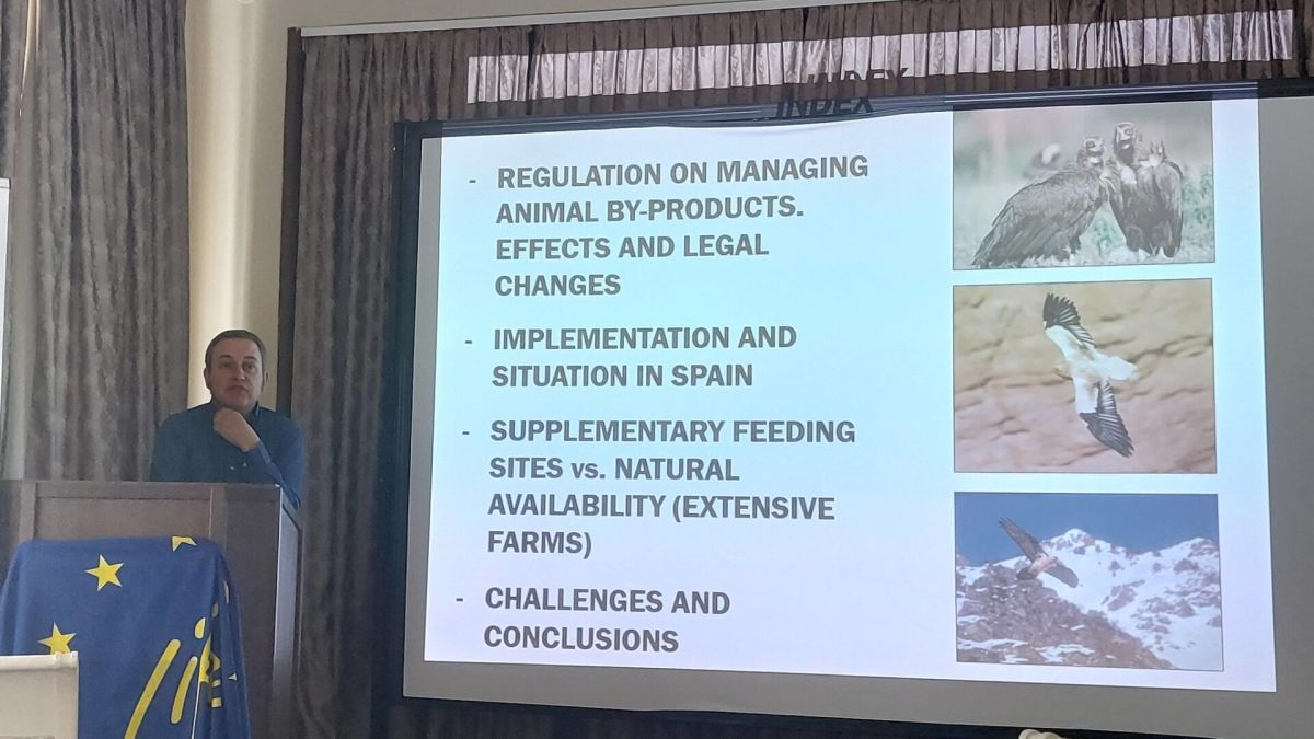 Ruben Moreno Opo Spanjolska 1920x1080